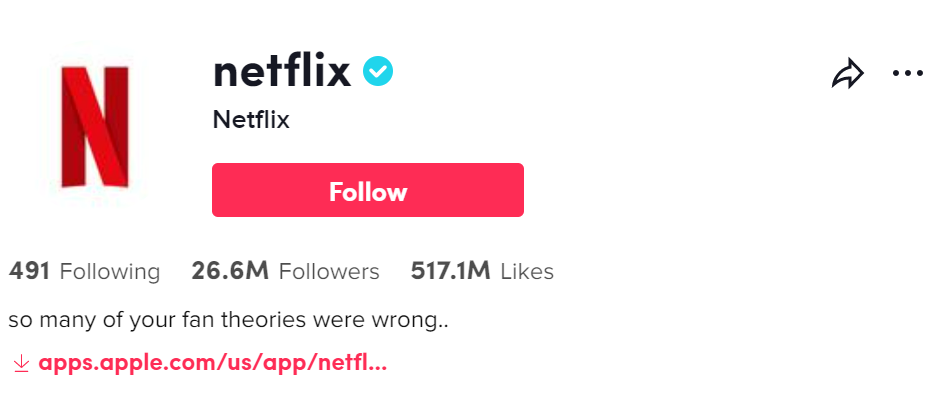 Netflix profile page on TikTok